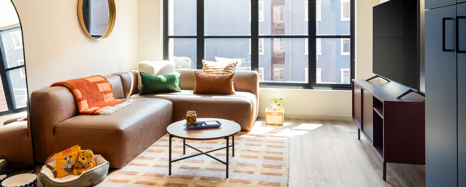 furnished living room