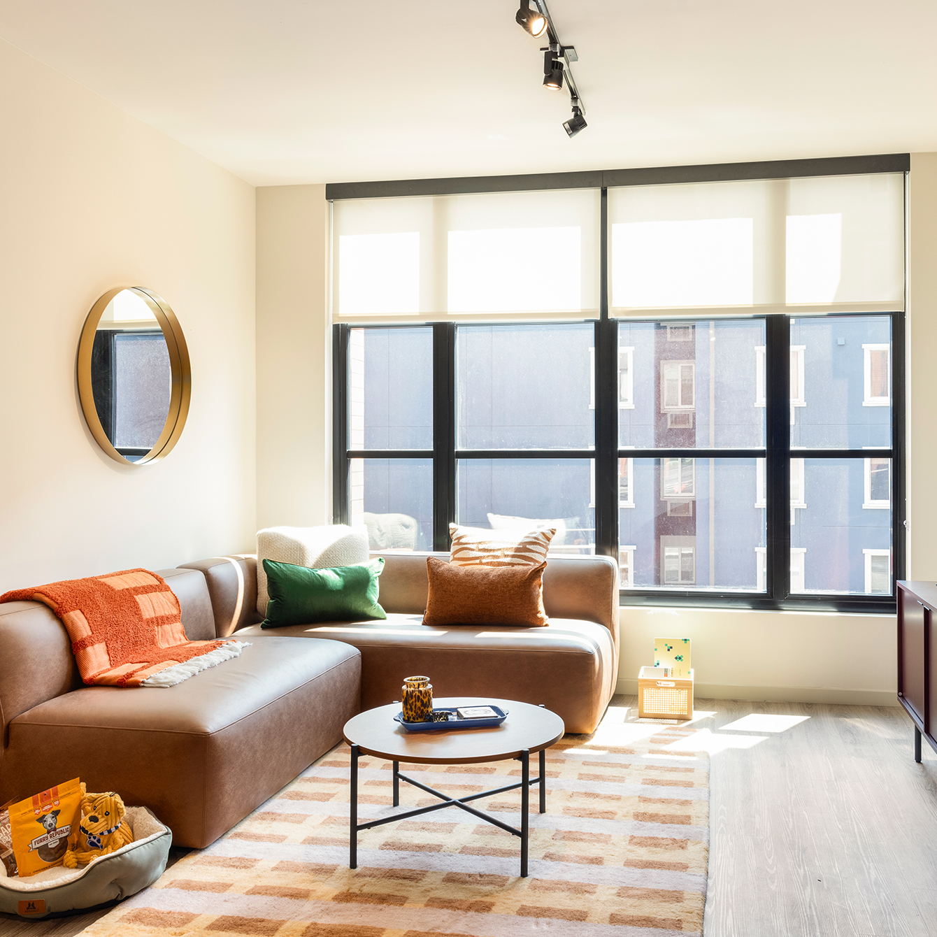 furnished living room