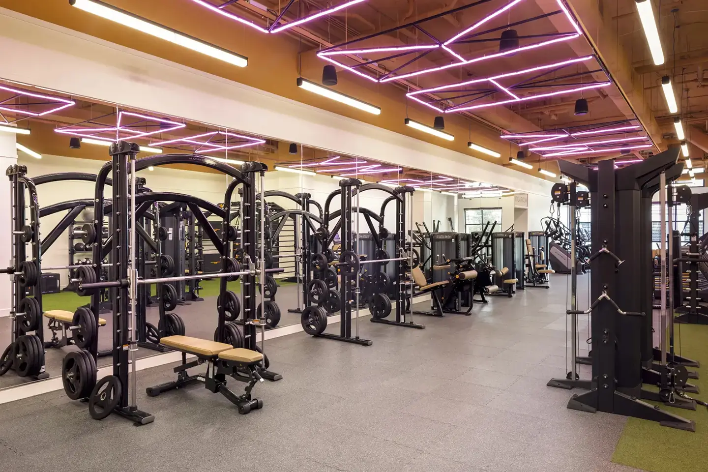 ōLiv Hetzel's gym, featuring benches and smith machines